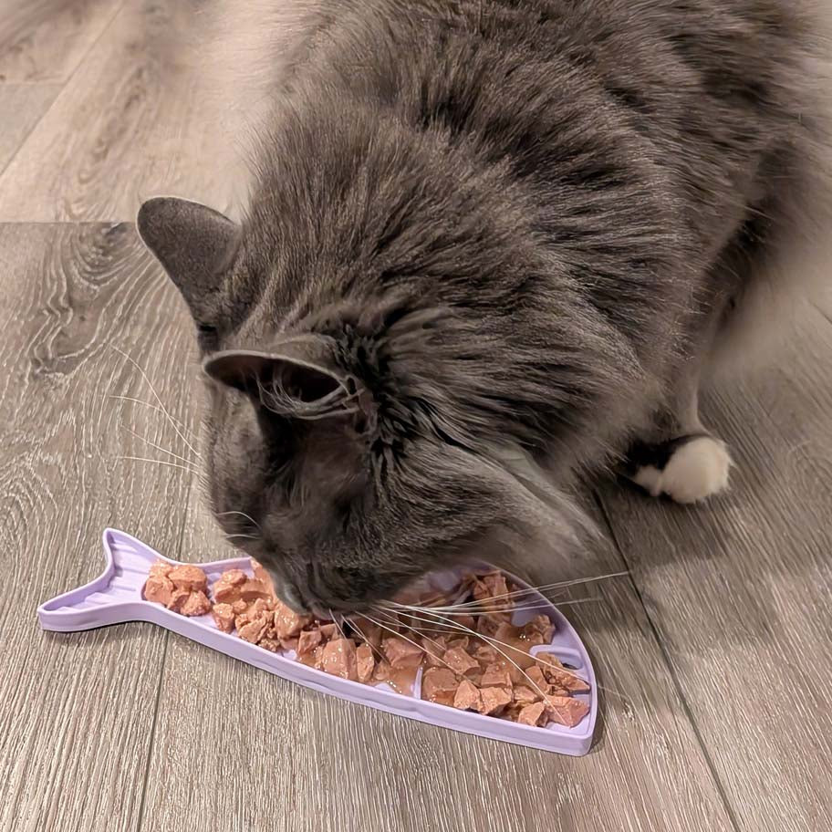 SodaPup Goldfish eMat Lick Mat for Cats