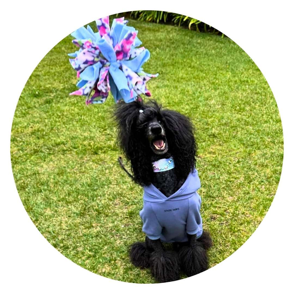 3-in-1 Dog Enrichment Tube: Tug Toy, Treat Puzzle & Snuffle Ball
