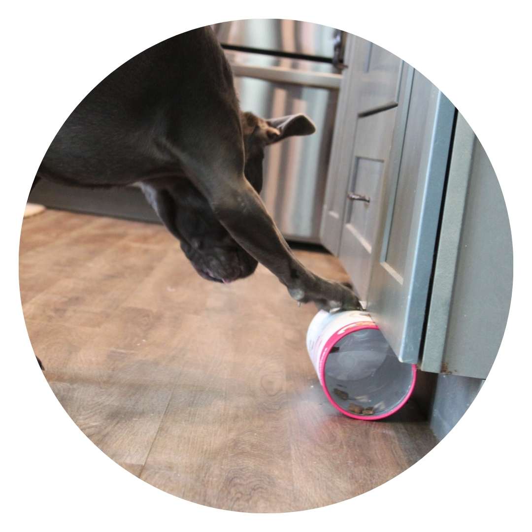 3-in-1 Dog Enrichment Tube: Tug Toy, Treat Puzzle & Snuffle Ball