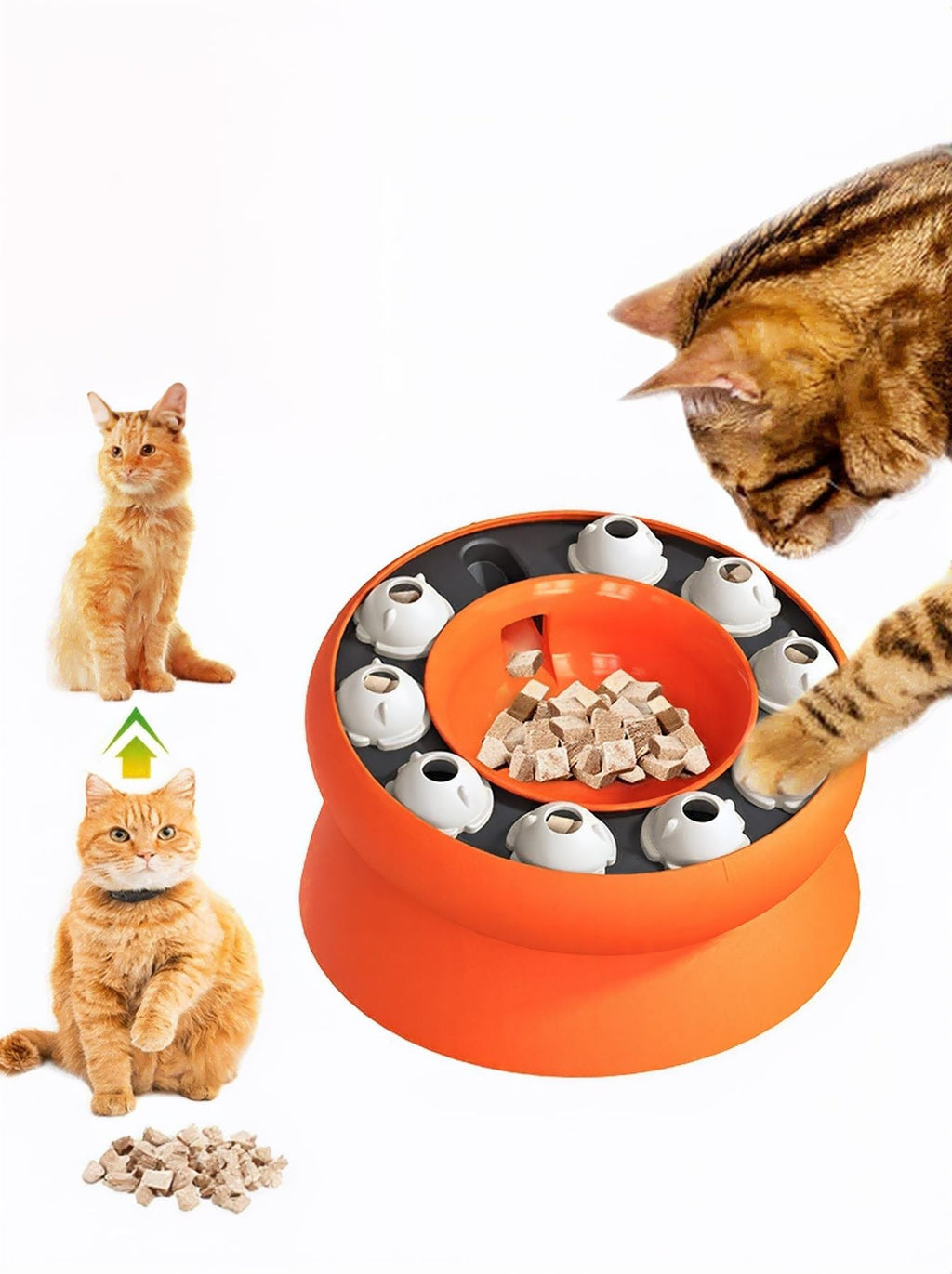 Interactive Cat Treat Puzzle