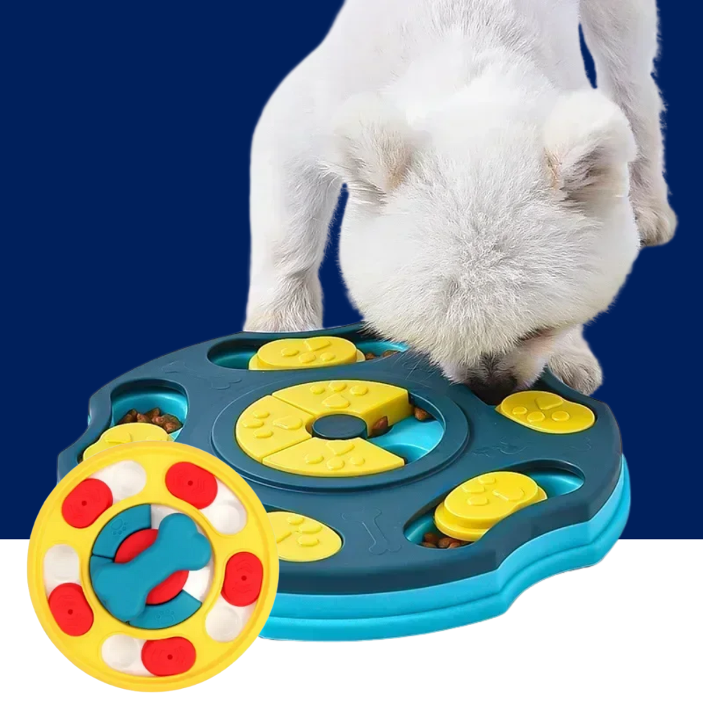 Dog Puzzle Slow Feeder & Treat Dispenser