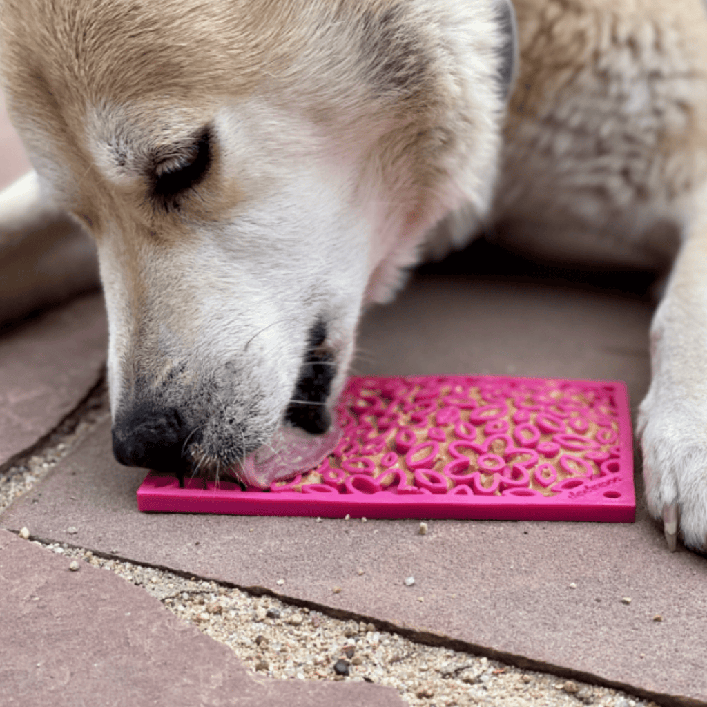 Farm To Pet Small Lick Mat for Cats & Small Dogs