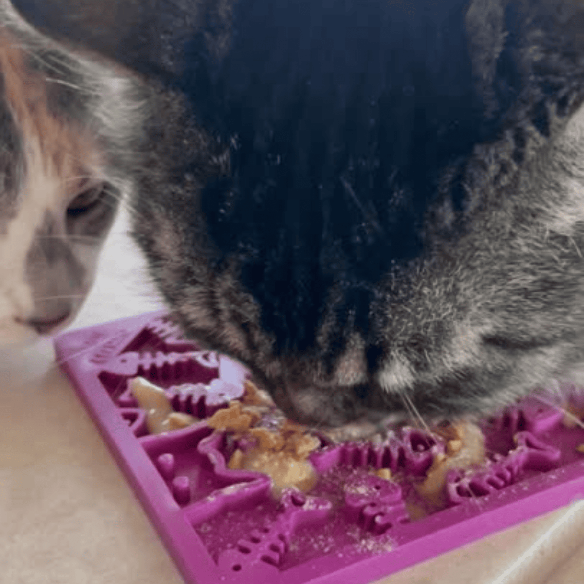 Farm To Pet Small Lick Mat for Cats & Small Dogs
