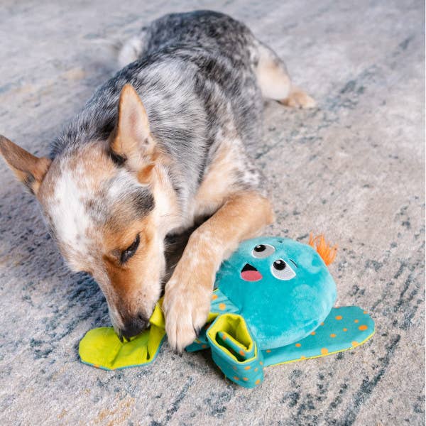 Nina Ottosson Silly Legz Octopus Dog Puzzle Toy