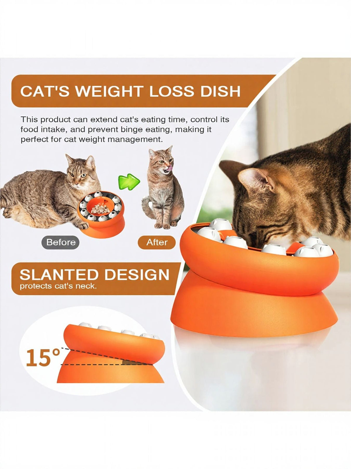 Interactive Cat Treat Puzzle