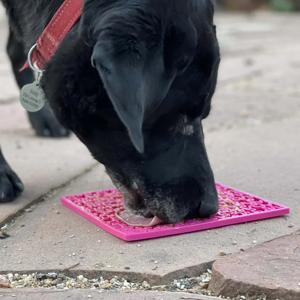 SodaPup Jigsaw Puzzle eMat for Dogs & Cats