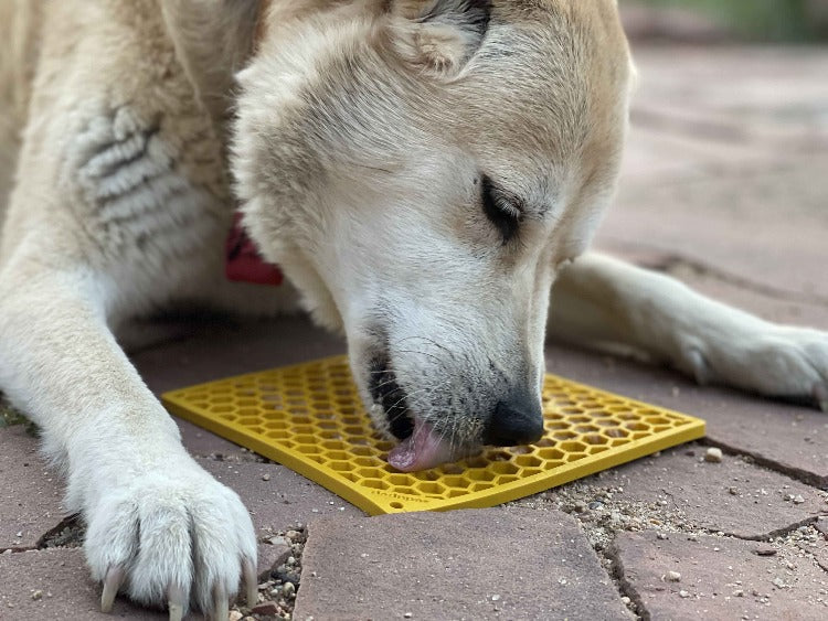 SodaPup Honeycomb eMat for Dogs & Cats